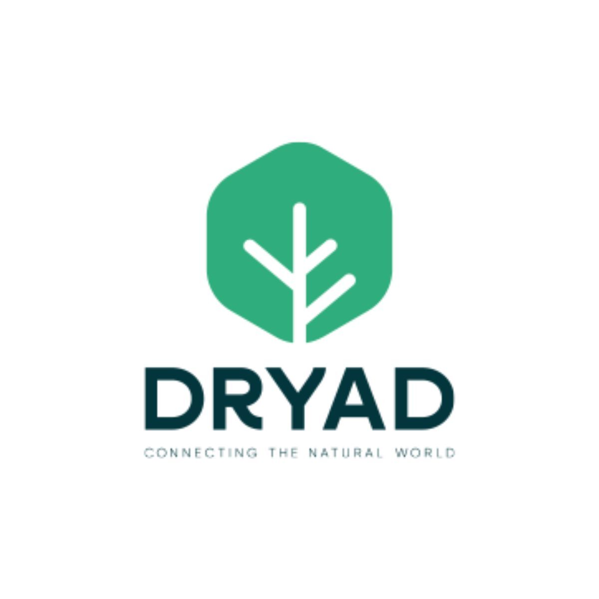 Picture of Dániel Hollós, Pedro Silva, Carsten Brinkschulte - Dryad Networks